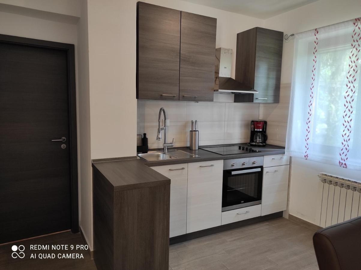 אופטיה Apartment Tominovic מראה חיצוני תמונה